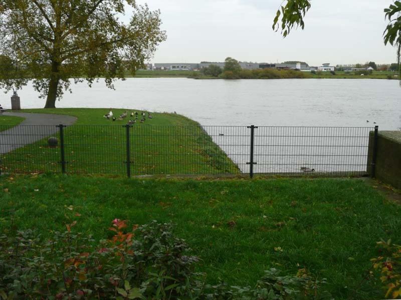 De Zilveren Karper IJsselmuiden Exterior photo